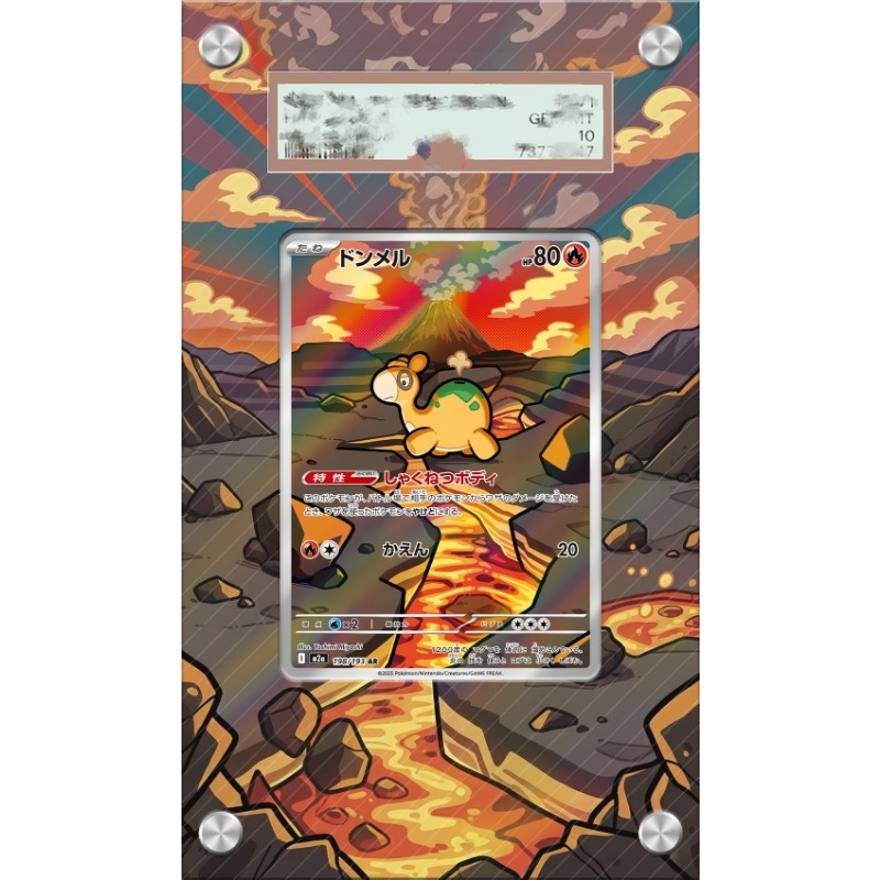 Art Display for Pokemon Numel  - Anime Merchandise From Japan avaliação e preço