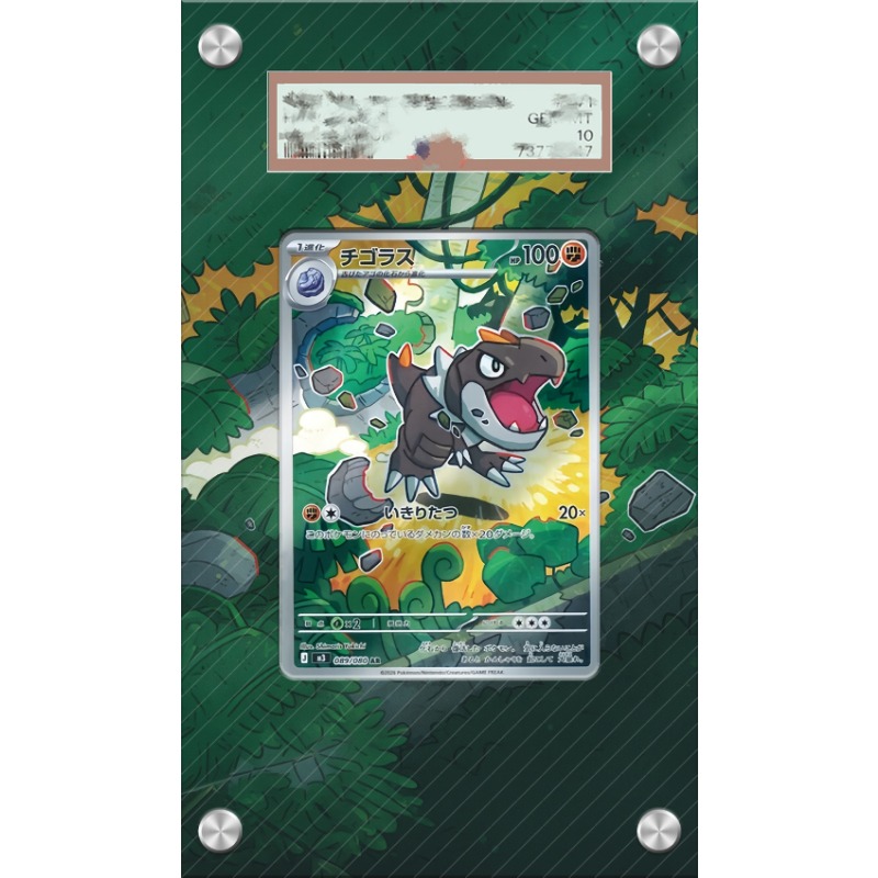 Art Display for Pokemon Tyrunt - Anime Merchandise From Japan avaliação e preço